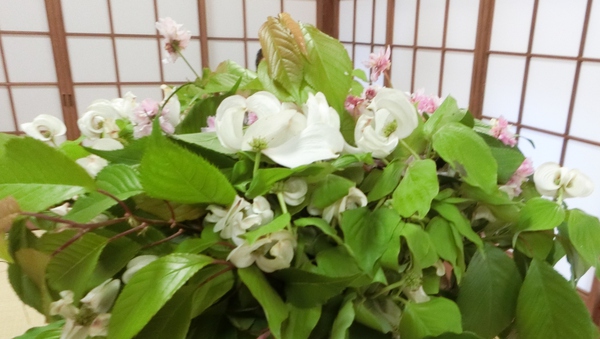 チャリティ茶会の優雅なひととき