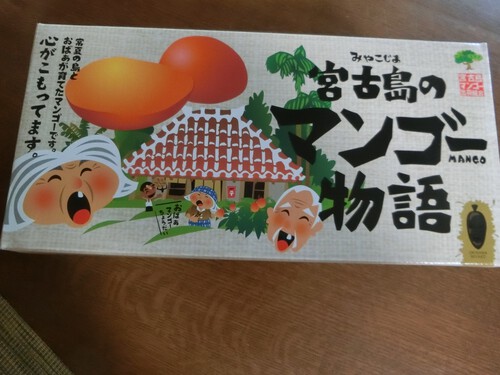 少し贅沢なおやつ（宮古島のマンゴー）