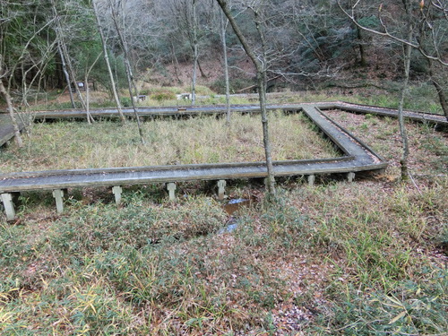 さぬきの森ガイドウォーク