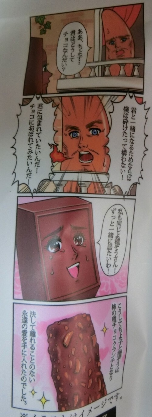 友人から愛のお菓子を頂いた。