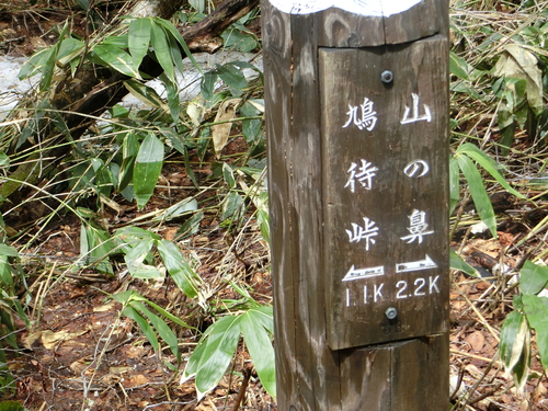 尾瀬を歩く（１）