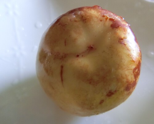楊貴妃も食べたナツメ、ワタシも食べてみる。