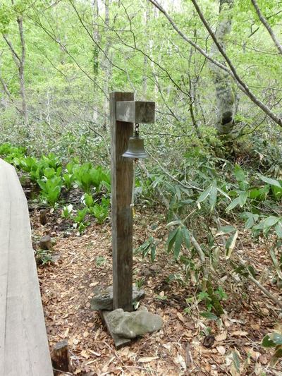 尾瀬を歩く（２）
