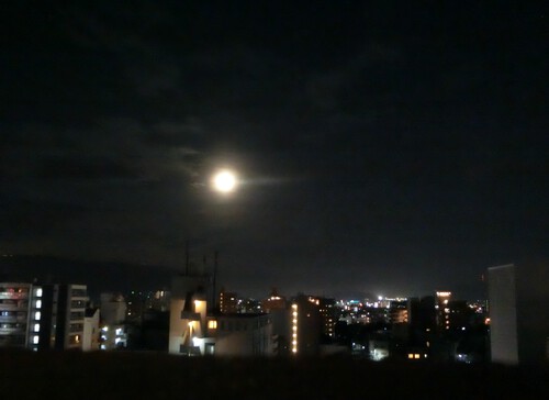月が笑ってる