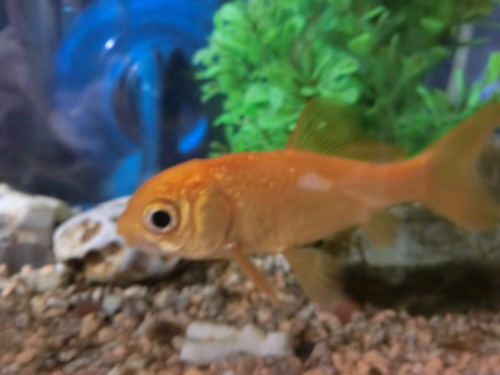 まるちゃんが見せる甘いお顔