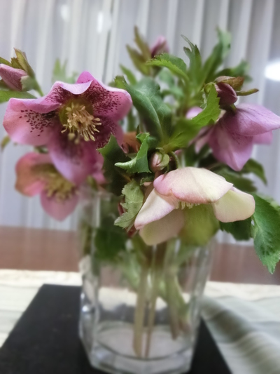 ワタシの頭に角が・・・