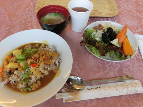 今日は、かねとう毒だしランチ