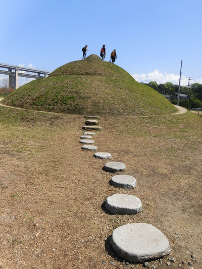 今日は沙弥島よ～