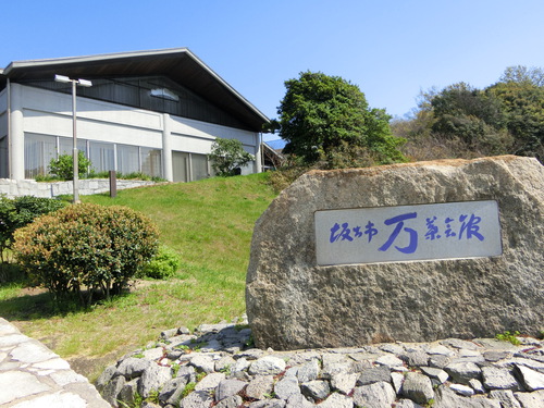 今日は沙弥島よ～