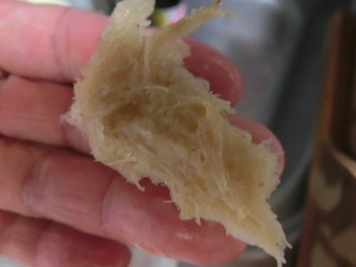 友だちの手作りトコロテン