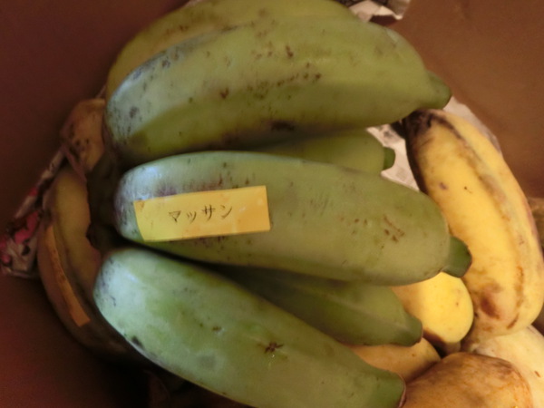 完熟の国産バナナが届く