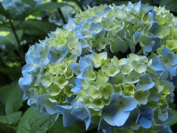 お中元やお歳暮は続けた方がいいのか？