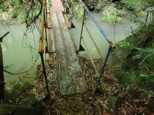 クマが出そうな散策道