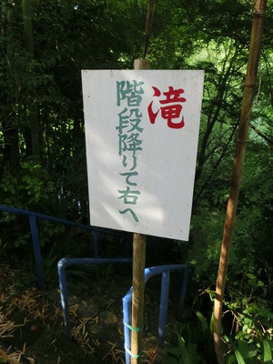 クマが出そうな散策道
