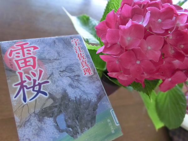 美しくて、やさしい小説