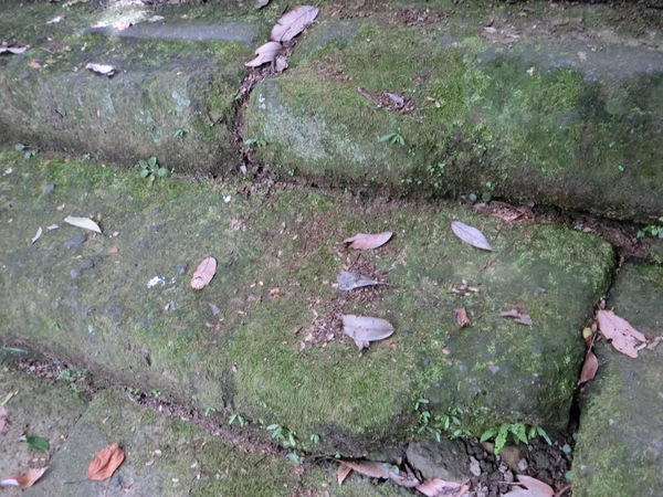黄門さんの実兄、頼重公の菩提寺（法然寺）