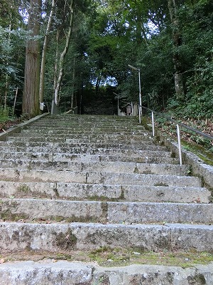 困ったときの神頼み