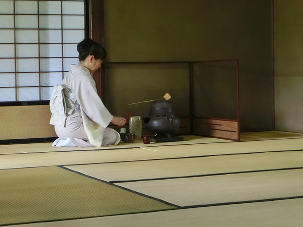 しとやか夫人の一日(笑）