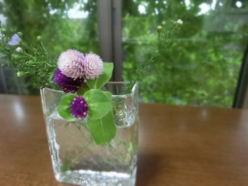 ちょっと胸キュンの便り