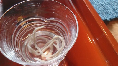 謙虚なひゃく壱蕎麦屋