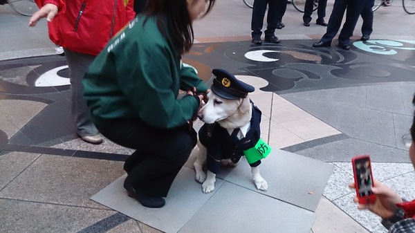警察犬きな子ちゃん