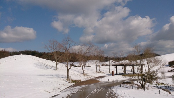 白い公園
