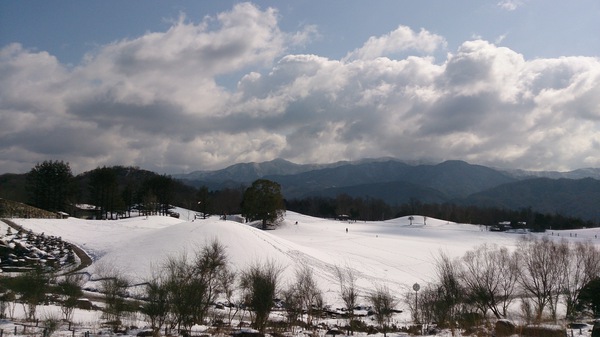 白い公園