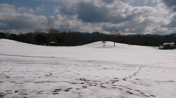 白い公園