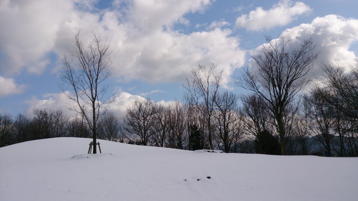 白い公園