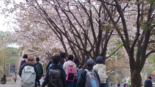 じっと見つめあった。
