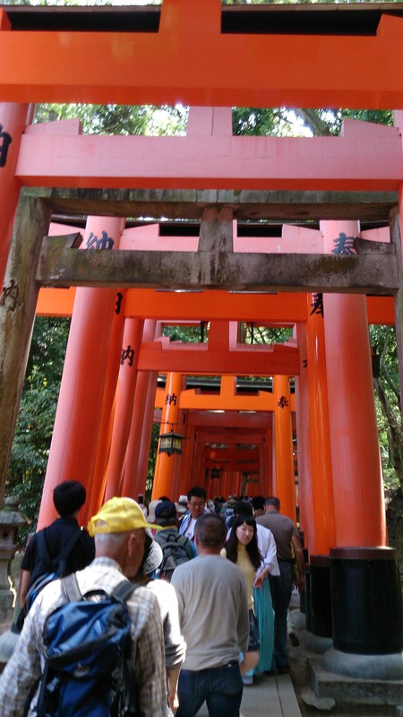 きつかったハイキング
