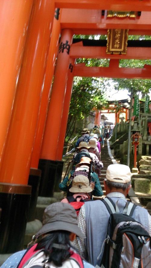 きつかったハイキング