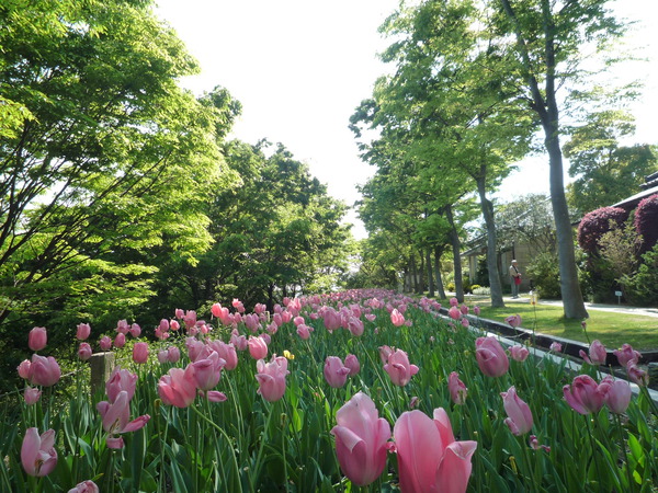 今日は八栗寺から四国村へ