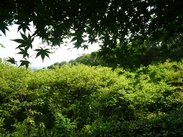 今日は八栗寺から四国村へ