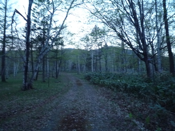北の夕暮れを歩く。