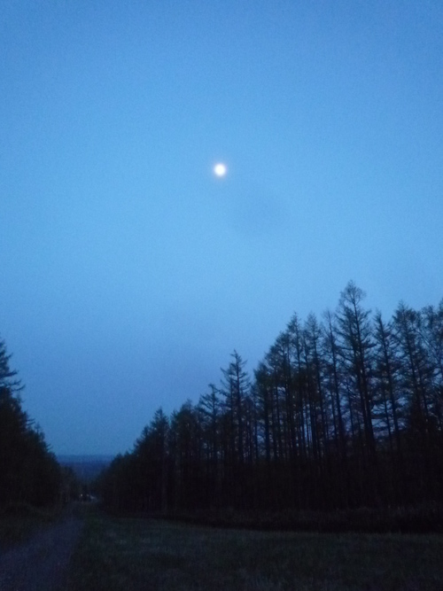 北の夕暮れを歩く。