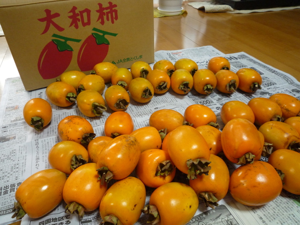 干し柿に挑戦