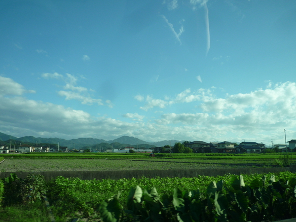 やさしい気持ち、ありがとうございます♥