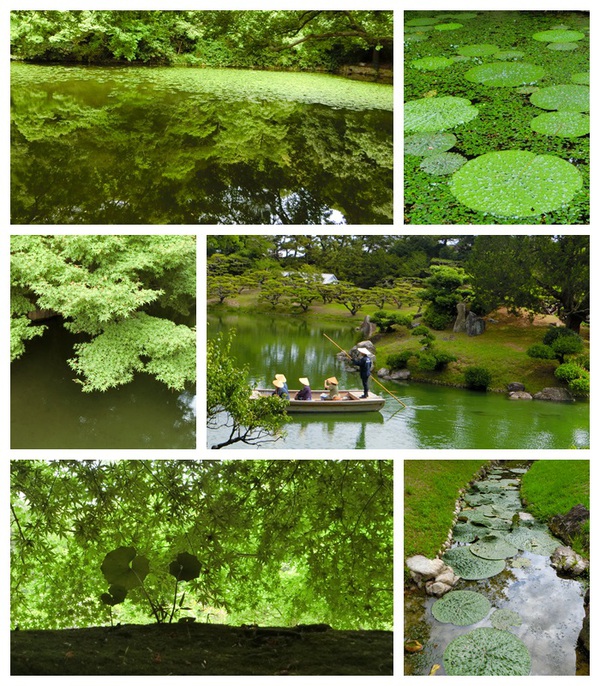 リツリンの生き物たち＆花と緑
