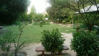 公園の中庭-3