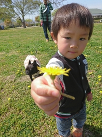 家族写真の撮影＆お花見フォト