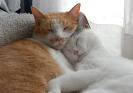 めちゃ眠い・・・
