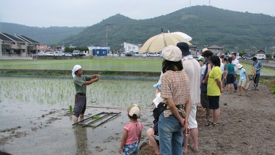 田植え体験レポート