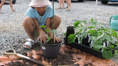 田植え体験レポート