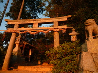 今年は、秋祭りに参加出来ないようだ。