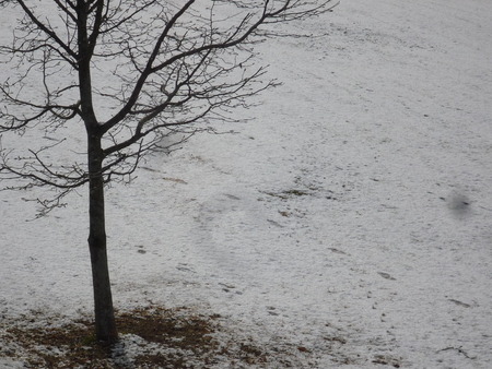 そこは、雪化粧