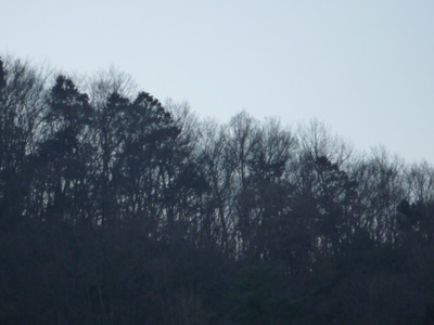 こんな風景が好き