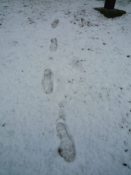 そこは、雪化粧
