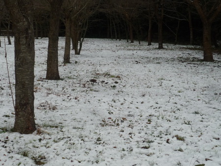 そこは、雪化粧