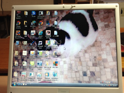 ＰＣしゅうりやさんにっき・液晶交換